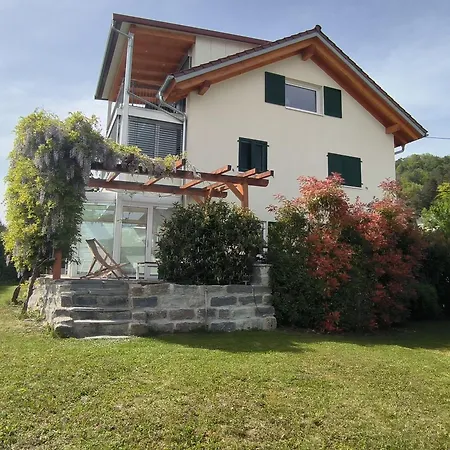 Seezeit * זיפלינגן